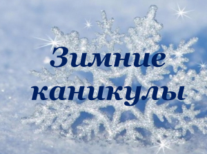 Зимние каникулы