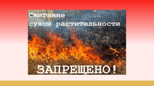 Профилактика пожаров, связанных с нарушением требований пожарной безопасности при сжигании сухой травянистой растительностью.
